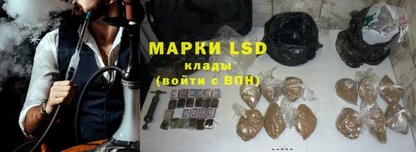 ГАЛЛЮЦИНОГЕННЫЕ ГРИБЫ Богданович