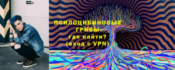 стаф Богородск
