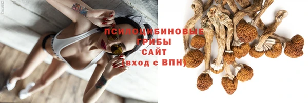 дурь Богородицк