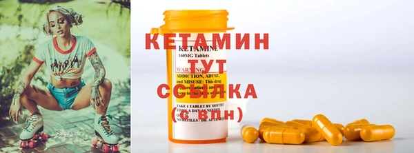 ГАЛЛЮЦИНОГЕННЫЕ ГРИБЫ Богданович