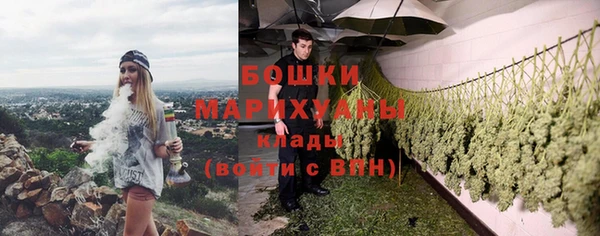 ГАЛЛЮЦИНОГЕННЫЕ ГРИБЫ Богданович