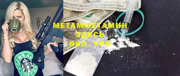 ГАЛЛЮЦИНОГЕННЫЕ ГРИБЫ Богданович