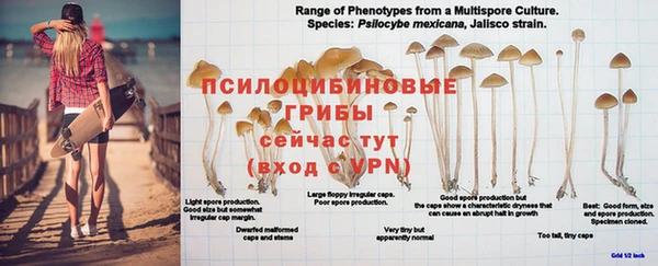 дурь Богородицк