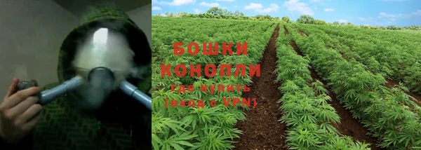экстази Белокуриха